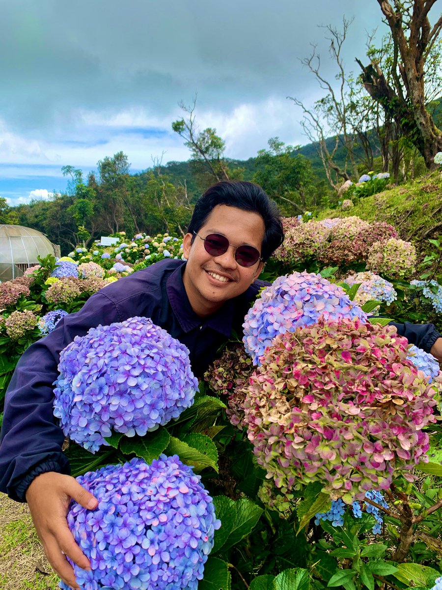 khanifirsyad's tweet image. Sebagai pencinta bunga-bungaan, Hydrangea ini jadi favorit saya. Warnanya yang cantik dan unik ini pasti akan memanjakan mata bagi siapapun yang memandangnya. Bunga ini hanya bisa tumbuh di ketinggian 500-1500 mdpl. Cantik sekali, bukan? 😆🌷🌸🌼🪻💐

📍 Gn. Papandayan