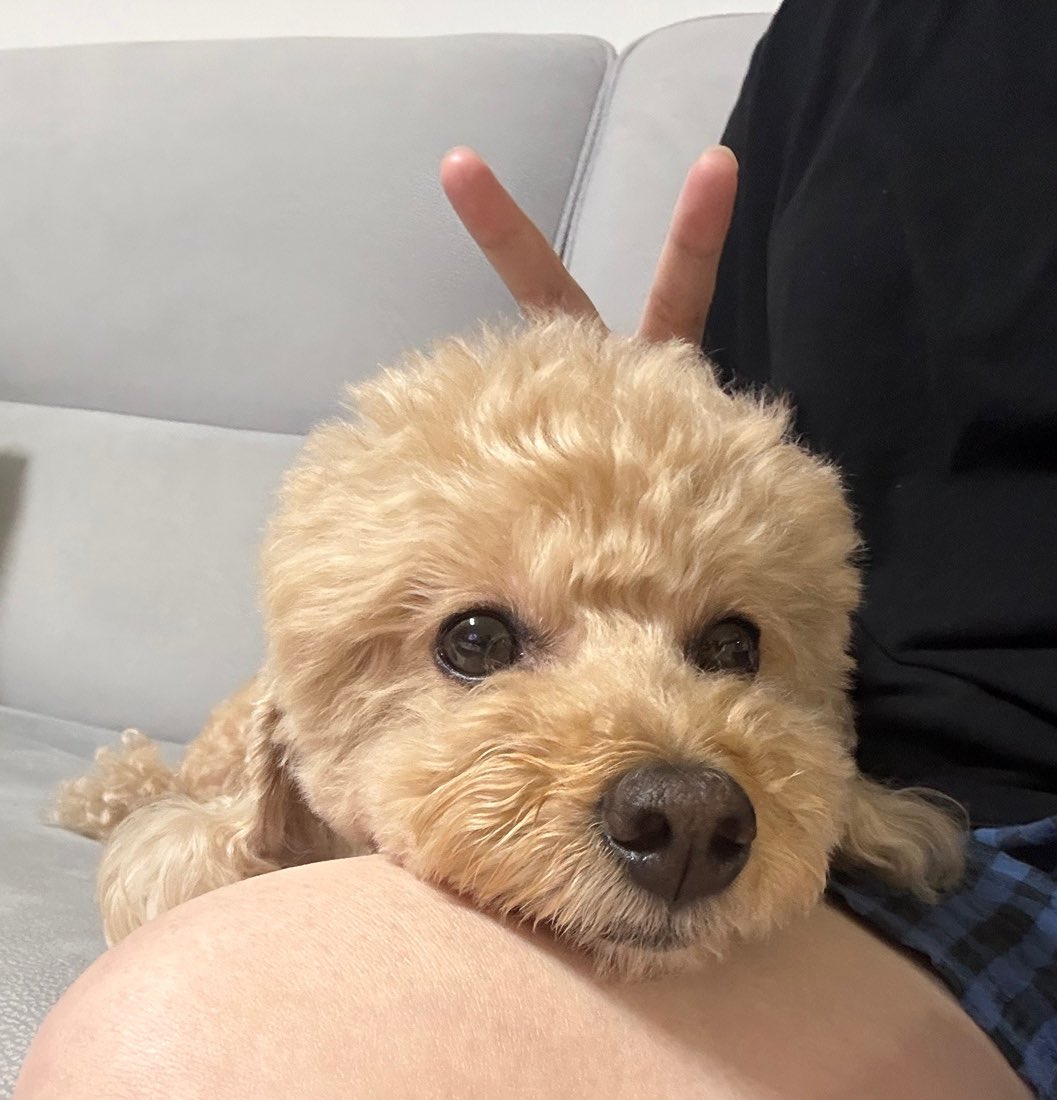 오늘 최고로 행복한 날이네요....
이게 인생이지...