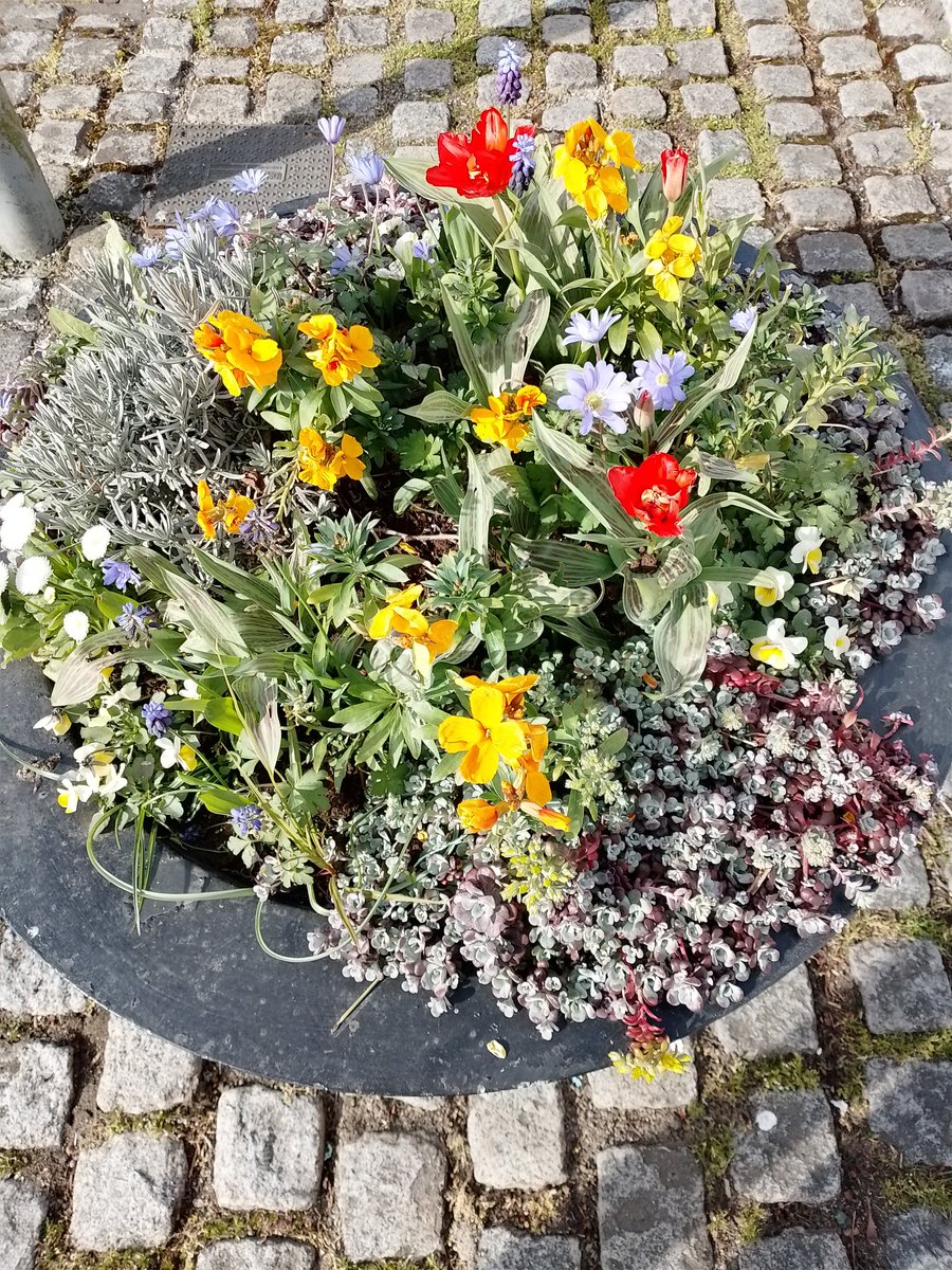 BettinaRezania's tweet photo. Day 816 - 823 of #900daysofwalking #100daysofwalking https://t.co/6bREJXvL6l