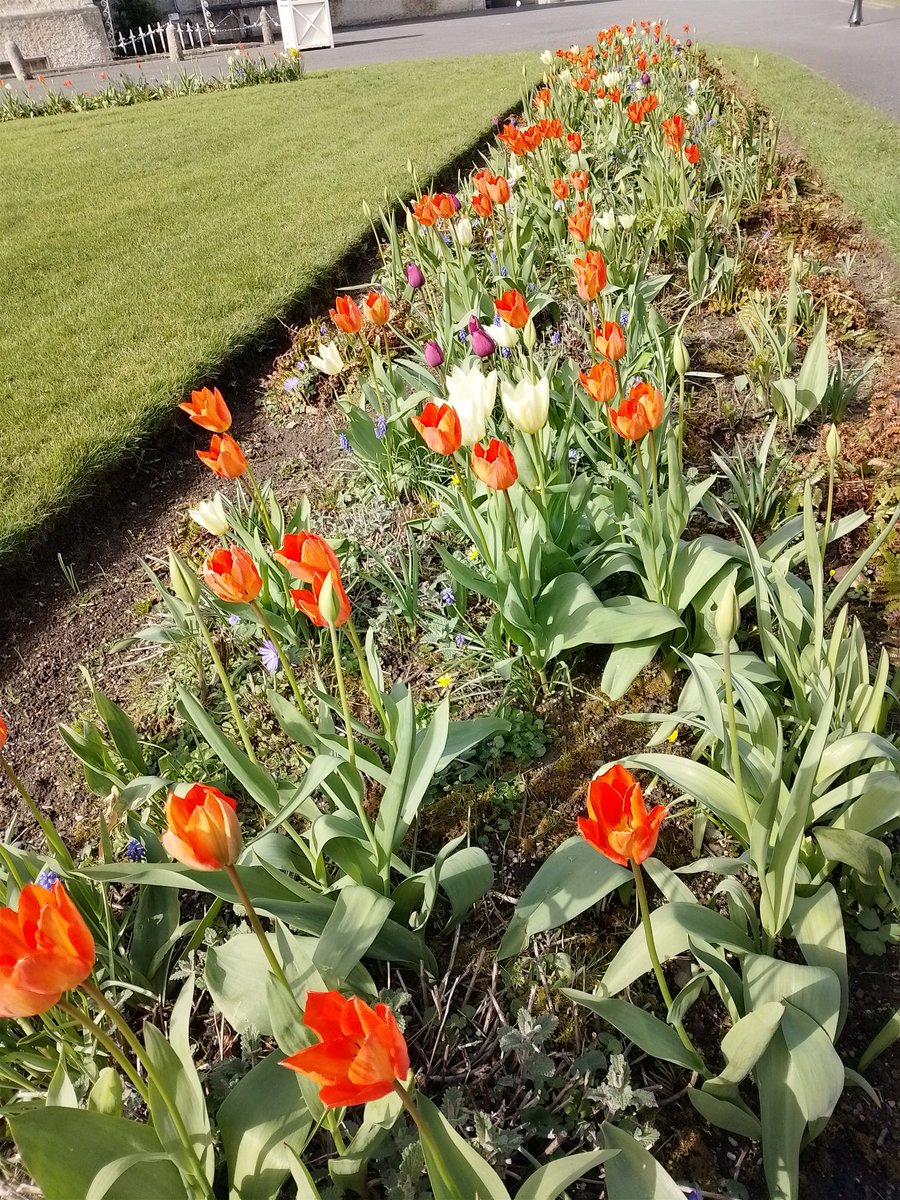 BettinaRezania's tweet photo. Day 816 - 823 of #900daysofwalking #100daysofwalking https://t.co/6bREJXvL6l
