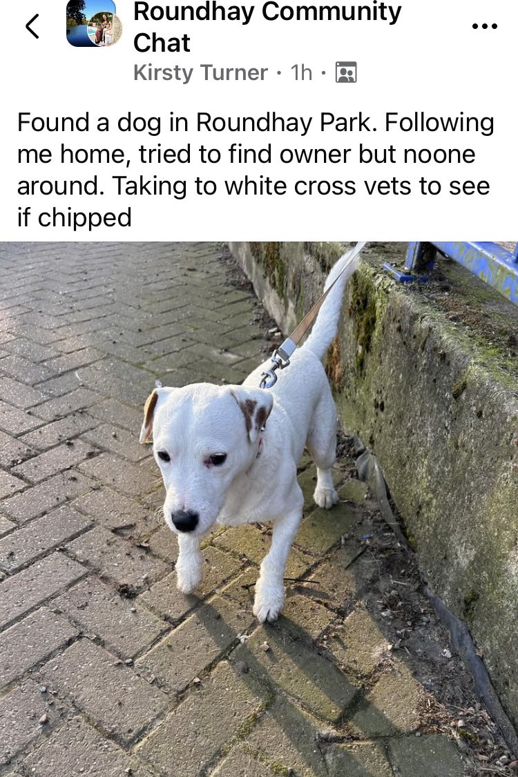 Debra Wilson tweet media