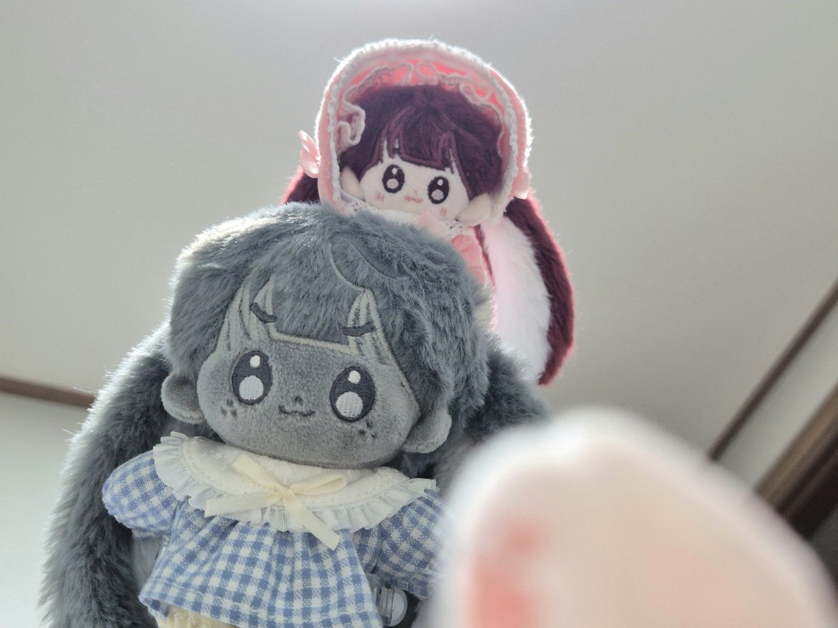 pponjo9999's tweet photo. 정신이 드십니까?(드심미까) 당신은 포리가 되셨습니다.(대셨슴미다.)
#돌멩포리 #마룬뽀리 https://t.co/acii9Stphu