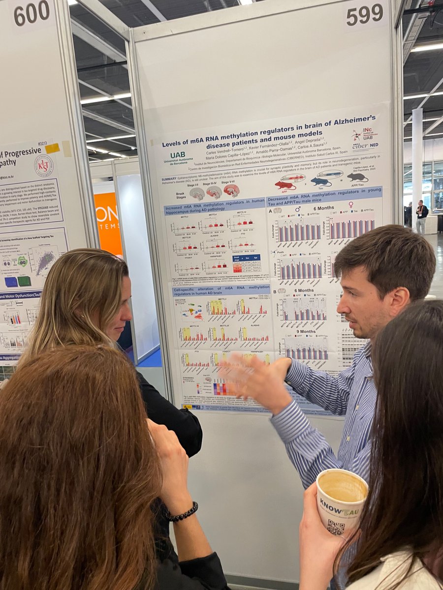 Sauralab (@sauralab) on Twitter photo <a href="/CVendrell11/">Carlos Vendrell</a> <a href="/sauralab/">Sauralab</a> presents his research project on m6A RNA regulators in human brain and #Alzheimer’s disease at #ADPD2025 <a href="/adpdnet/">AD/PD - Advances in Science & Therapy</a> meeting. Poster #599
Funded by <a href="/AgEInves/">Agencia Estatal de Investigación</a> <a href="/CienciaGob/">Ministerio de Ciencia, Innovación y Universidades</a> <a href="/INC_UAB/">Institut de Neurociències UAB</a> <a href="/UABBarcelona/">Universitat Autònoma de Barcelona</a> <a href="/CarlesSaura/">Carles A. Saura</a> <a href="/CVendrell11/">Carlos Vendrell</a> <a href="/sauralab/">Sauralab</a> presents his research project on m6A RNA regulators in human brain and #Alzheimer’s disease at #ADPD2025 <a href="/adpdnet/">AD/PD - Advances in Science & Therapy</a> meeting. Poster #599
Funded by <a href="/AgEInves/">Agencia Estatal de Investigación</a> <a href="/CienciaGob/">Ministerio de Ciencia, Innovación y Universidades</a> <a href="/INC_UAB/">Institut de Neurociències UAB</a> <a href="/UABBarcelona/">Universitat Autònoma de Barcelona</a> <a href="/CarlesSaura/">Carles A. Saura</a>