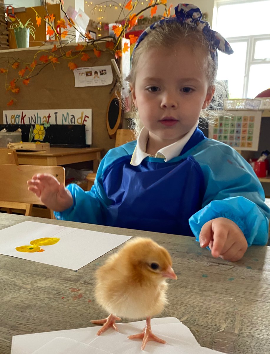 NurseryBPS's tweet photo. We had some special guests at our creative table today!
We were looking at the parts of the chick and all the details we could add to our paintings. We had lots of discussions about their feet, beaks and how fluffy they were. 🐥 What better way to do observational artwork. https://t.co/GQLeKvVprq