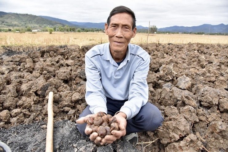 With 235 #UXOs cleared from his land, Damduane can now farm year-round -from 🌾 sticky rice to water chestnuts - doubling his income.
# UXO/Mine action = food, income &amp; agency
#IMAD2025 #UXOclearance #Foodsecurity #MineAwarenessDay #SafeFuturesStartHere