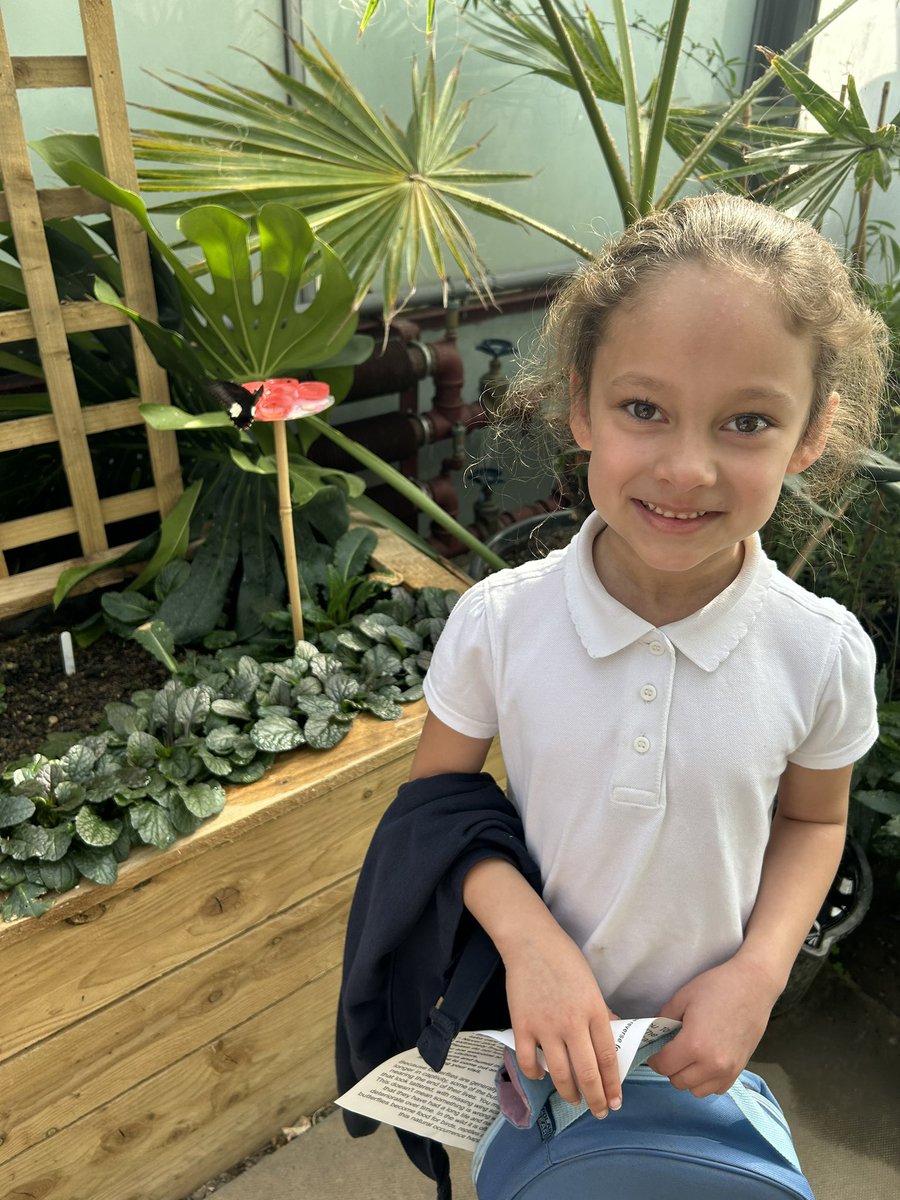 Year 3 had a wonderful end to the half term visiting the greenhouse for their science learning on plants and had a few fluttery visitors to guide them along their journey 🦋🌱🪴<a href="/IPAT_Edu/">The Inspire Partnership</a> thank you <a href="/HallPlaceBexley/">Hall Place & Gardens</a>