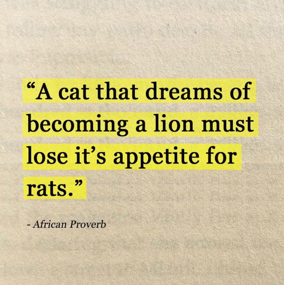 Poetik Force ☯️ (@poetikforce) on Twitter photo 