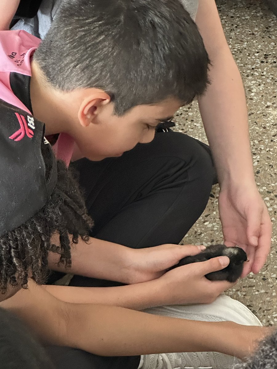 GuyonNicole's tweet image. Chick recess @Community_Prep