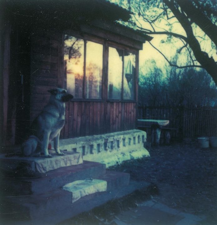 LostInFilm's tweet image. The Polaroids of Andréi Tarkovski, 1979-1983.