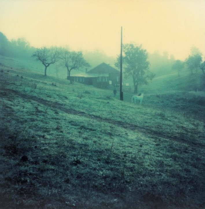 LostInFilm's tweet image. The Polaroids of Andréi Tarkovski, 1979-1983.