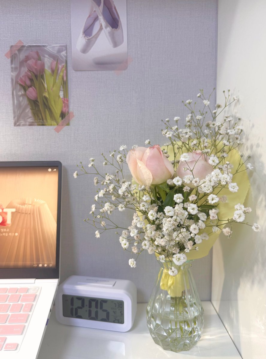 엊그제 산책갔다가 데려온 꽃

원래는 장미만 하려했는데
연분홍꽃에 흰안개꽃 조합이 사기라서
안개꽃까지 데려옴