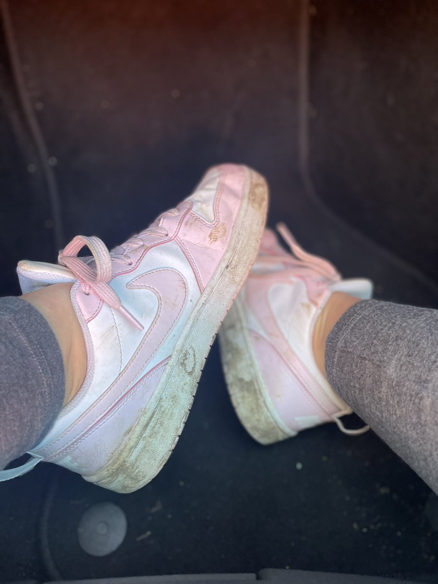 Herrin Sophie tweet media