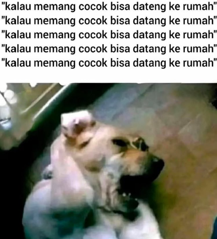 Piyik (@boypblo) on Twitter photo 