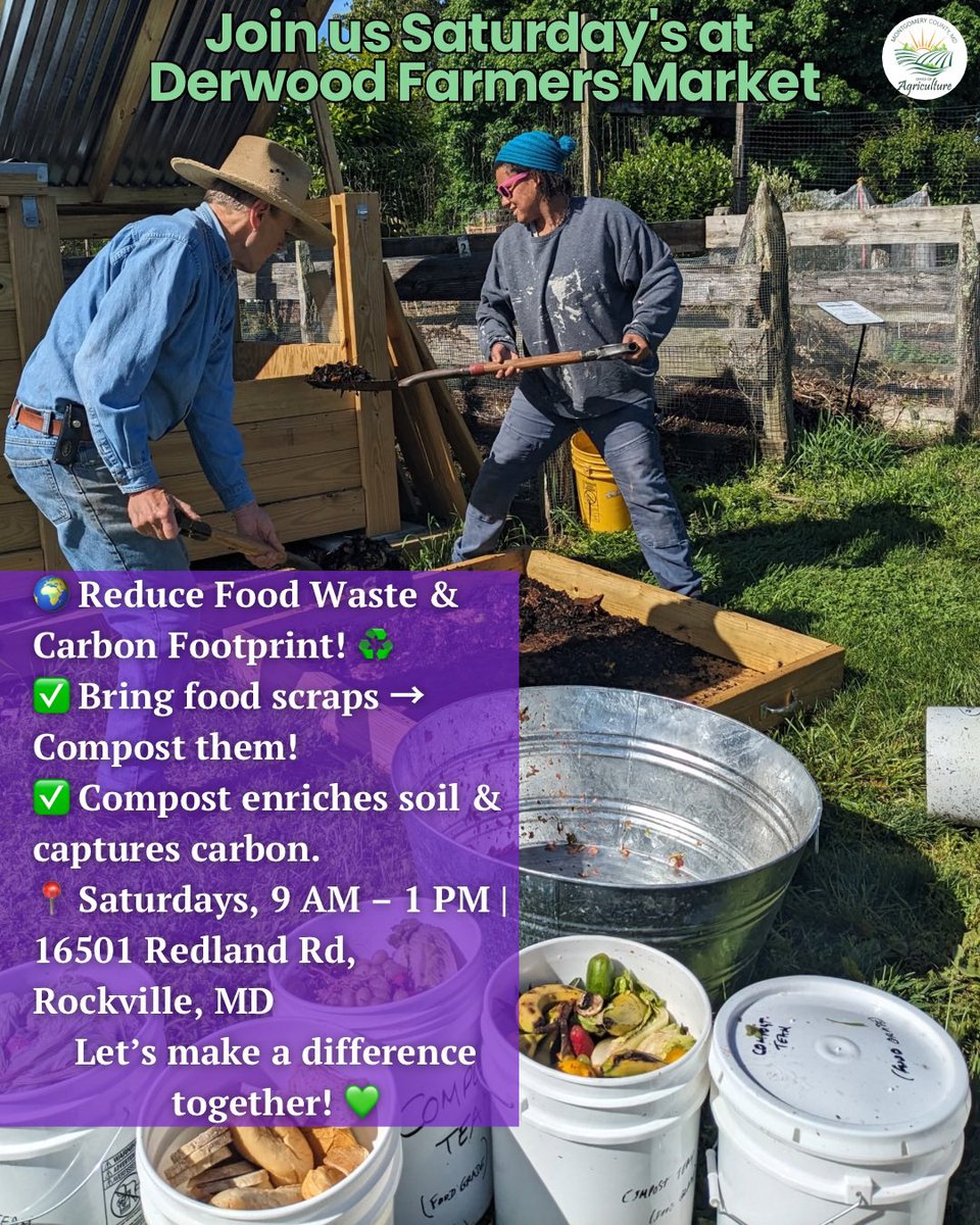 MoCoOAG's tweet photo. 🌍♻️ Turn food scraps into climate action! Drop off your compostables at Derwood’s Farmers Market to help reduce food waste, lower your carbon footprint &amp; support local farms!
📍16501 Redland Rd, Rockville 🕘 Saturdays, 9AM–1PM
 #Compost #FoodWaste #SustainableLiving https://t.co/BO32Cte3lJ