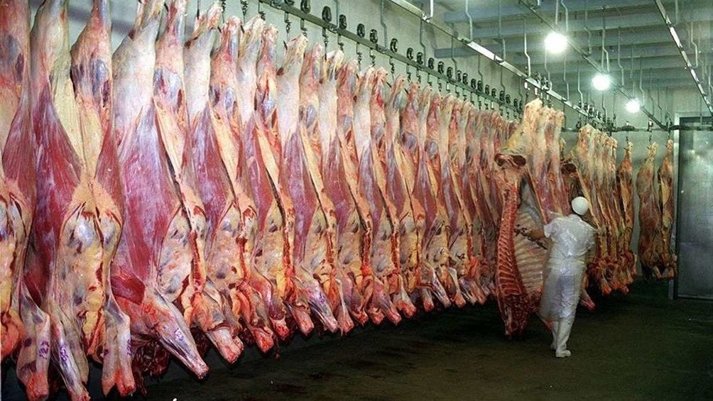 🥩🍖 Argentina comenzará a #importar #asado de #Brasil: ¿Cómo llegamos a esto?

🐮🐄 ¿Cómo es posible que un gigante agropecuario como la Argentina termine comprando #carne en el exterior? ¿Qué llevó al país a esta situación y qué consecuencias tendrá?

elargentino.ar/economia/consu…