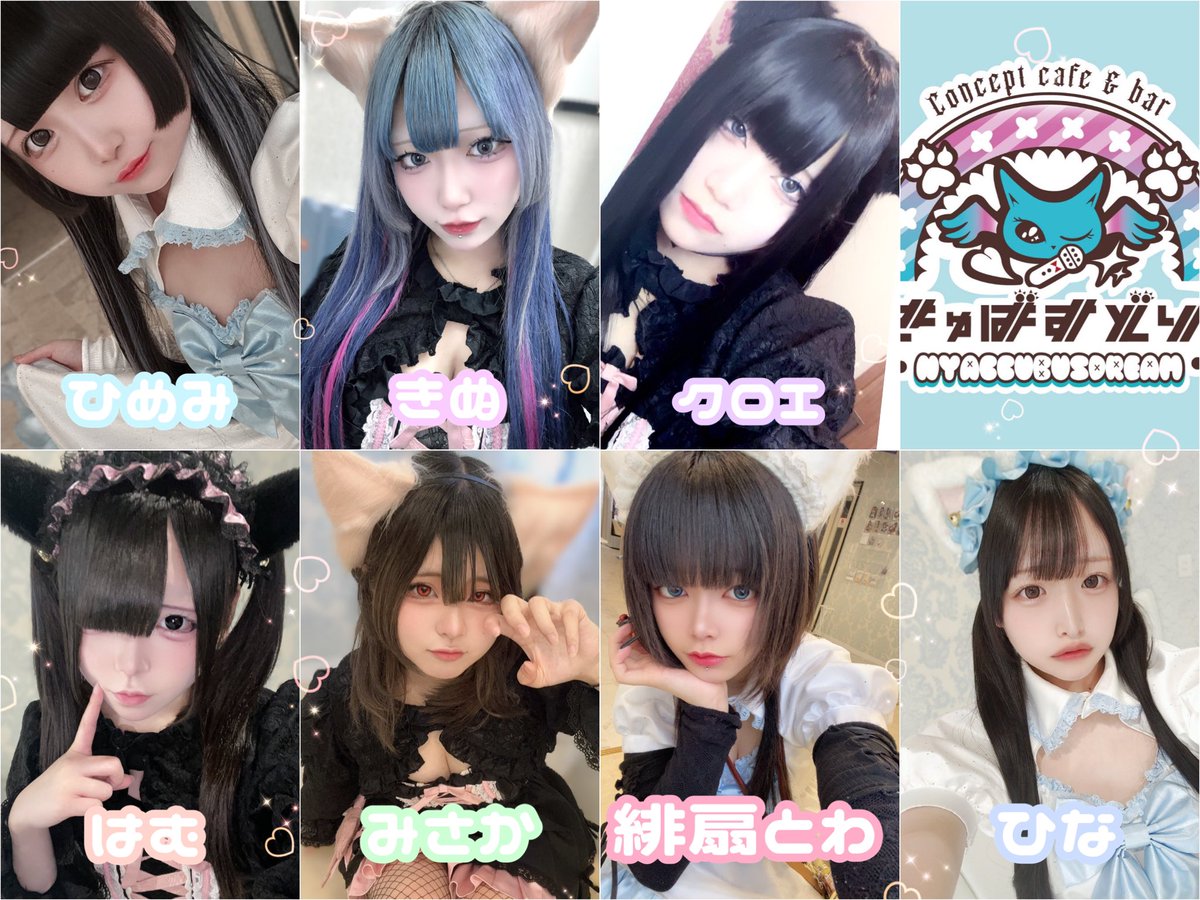 4/4もありがとうございました🐝🌟

🩵4/5のにゃきゅばすちゃん🩵

15時～
♥きぬ<a href="/tofunoomisosiru/">きぬ</a> 
♥クロエ<a href="/96kfx/">kuroe</a> 
♥はむ@nyaccubus_hamu 
♥みさか@33ka_zzz 
♥ひな<a href="/hinya_gao/">ひな</a> 
17時～
♥ひめみ<a href="/himemi_nyan_/">ひめみ</a> 
♥緋扇とわ@violet_8o8 

お客様のご来場を心よりお待ちしております(⸝⸝>ω<⸝⸝)👍🏻