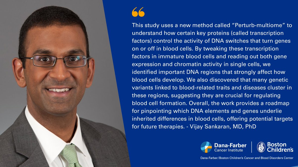 Dana-Farber News (@danafarbernews) on Twitter photo In a new study published in <a href="/ScienceMagazine/">Science Magazine</a>, <a href="/bloodgenes/">Vijay Sankaran</a> of <a href="/DanaFarber/">Dana-Farber</a> and <a href="/DFBC_PedCare/">Dana-Farber/Boston Children's</a> researchers introduce Perturb-multiome, a tool to reverse-engineer how DNA controls blood cell formation.
Read more: bit.ly/4hYLHH7 In a new study published in <a href="/ScienceMagazine/">Science Magazine</a>, <a href="/bloodgenes/">Vijay Sankaran</a> of <a href="/DanaFarber/">Dana-Farber</a> and <a href="/DFBC_PedCare/">Dana-Farber/Boston Children's</a> researchers introduce Perturb-multiome, a tool to reverse-engineer how DNA controls blood cell formation.
Read more: bit.ly/4hYLHH7