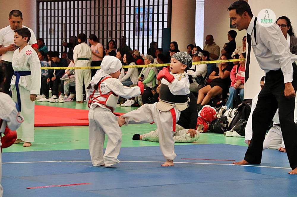 🔴  30°CAMPEONATO NACIONAL DE NIPPON KEMPO / 30 de marzo 2025, siendo sede el Centro Deportivo de Alto Rendimiento de Villas Tlalpan de  la Comisión Nacional de Cultura Física y Deporte (CONADE).🥋🥊🇲🇽
#nipponkempo #日本拳法 
📸Cobertura del evento: <a href="/SenderoArtesMar/">SenderoArtesMarciales</a>