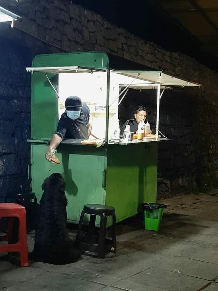 #DiaMundialDelAnimalAbandonado 
#NoAlMaltratoAnimal 
#AdoptaNoCompres