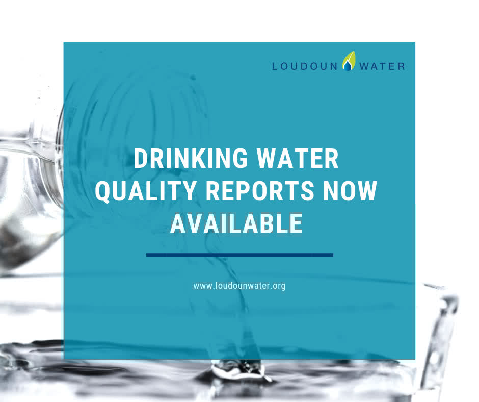 Our annual drinking water quality reports for the year ending in 2024 are now available on our website: bit.ly/290kgdU
If you have any questions, please call our Customer Relations department at 571-291-7880, Monday - Friday during regular business hours.