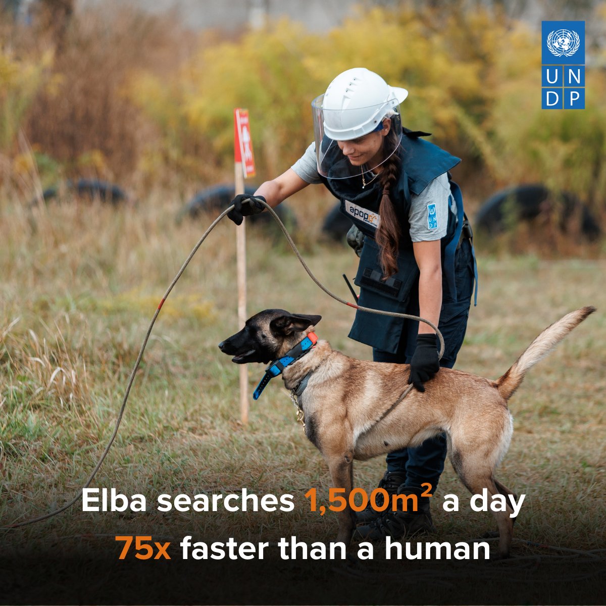 UNDP ExpRes Roster (@expresroster) on Twitter photo Landmines don’t just maim - they paralyze countries.
In #Ukraine, demining efforts are accelerating with new technologies & partnerships, but much work remains.
As <a href="/shokonoda/">Shoko Noda</a> writes, effective demining is key to reclaiming land for recovery. #MineAction #IMAD2025
🔗 Landmines don’t just maim - they paralyze countries.
In #Ukraine, demining efforts are accelerating with new technologies & partnerships, but much work remains.
As <a href="/shokonoda/">Shoko Noda</a> writes, effective demining is key to reclaiming land for recovery. #MineAction #IMAD2025
🔗