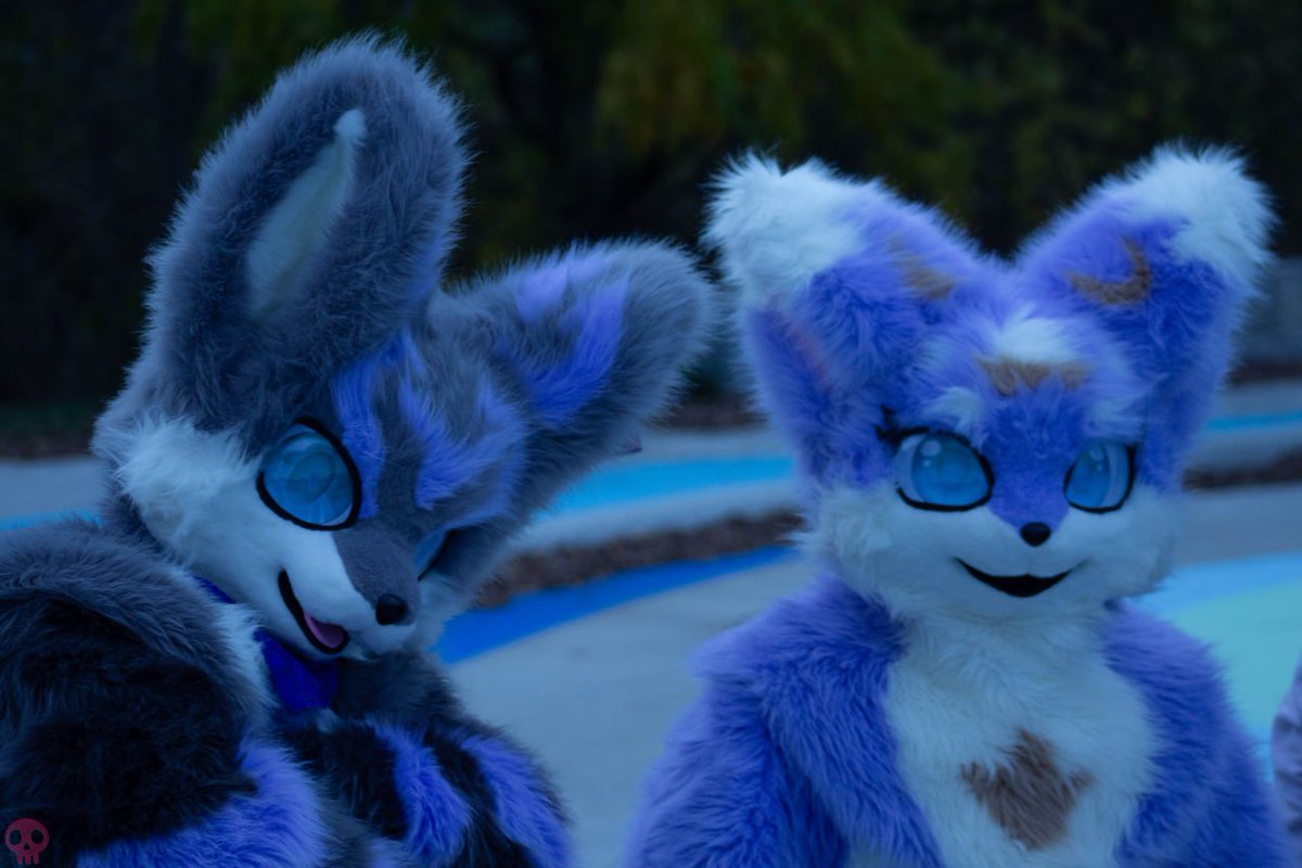 Twinninem this #FursuitFriday 🤭

📸<a href="/BanditFoxchilla/">Bandit Bigears 🔜 FE 🡆 FWA</a>
