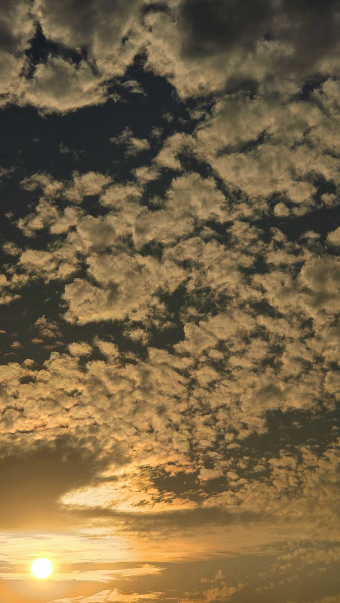 parthosarathi_b's tweet image. Do you have pictures of clouds? ☁️☁️