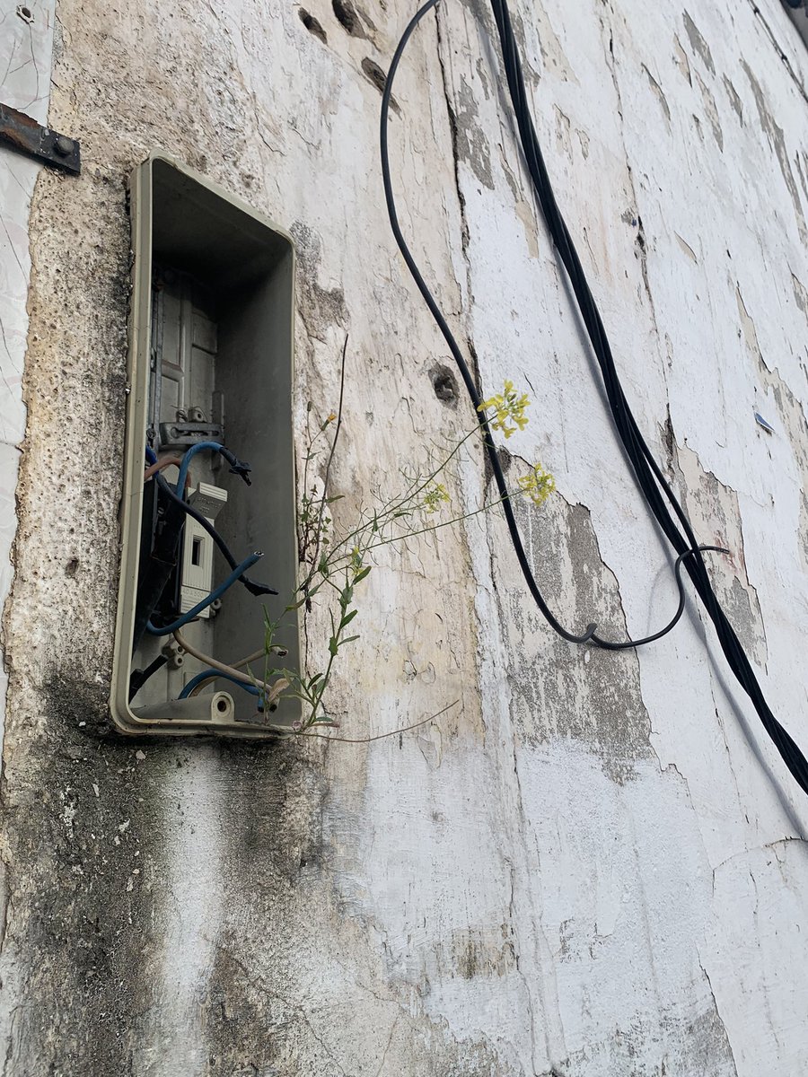 alienatypeshii's tweet image. Beauty