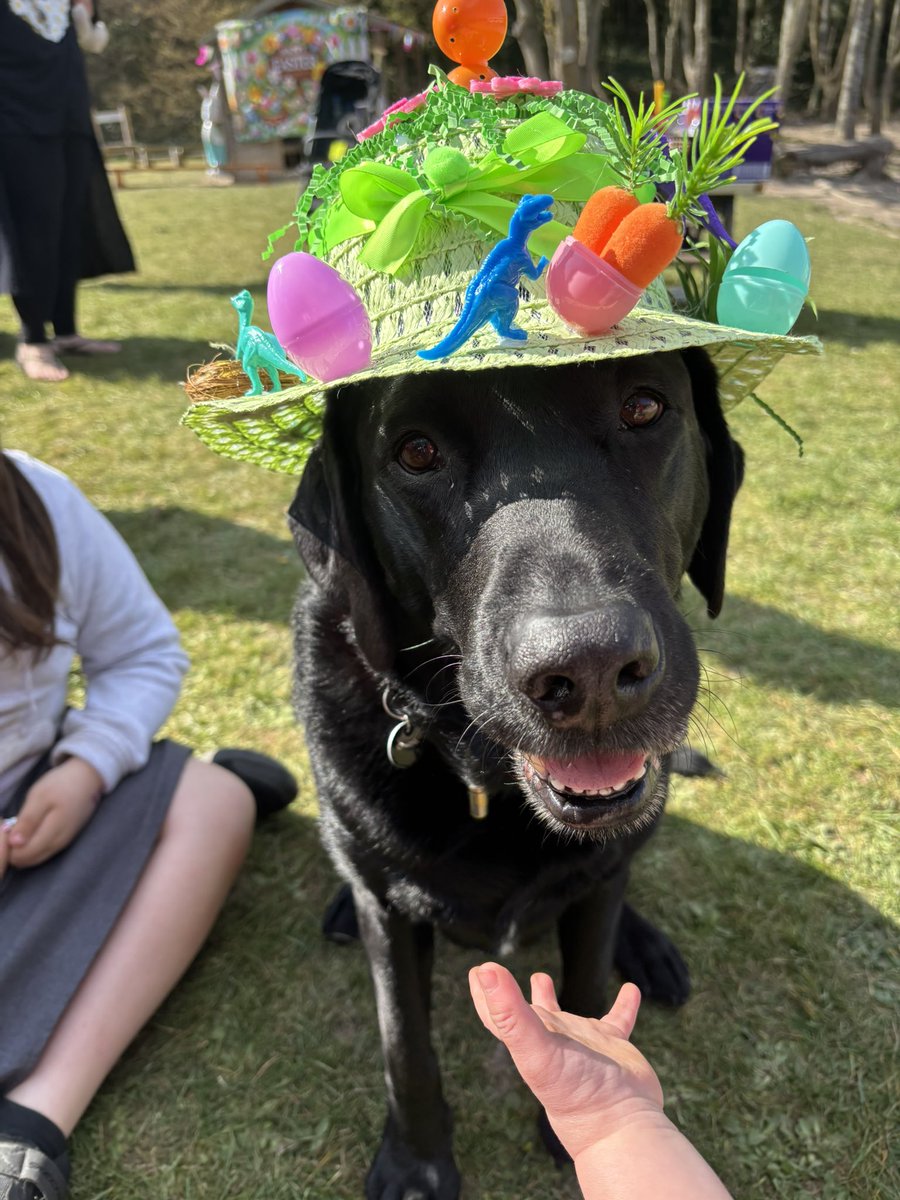 Skippy also enjoyed our Easter egg hunt today 🐣 🐾 <a href="/PetsAsTherapyUK/">Pets As Therapy</a>