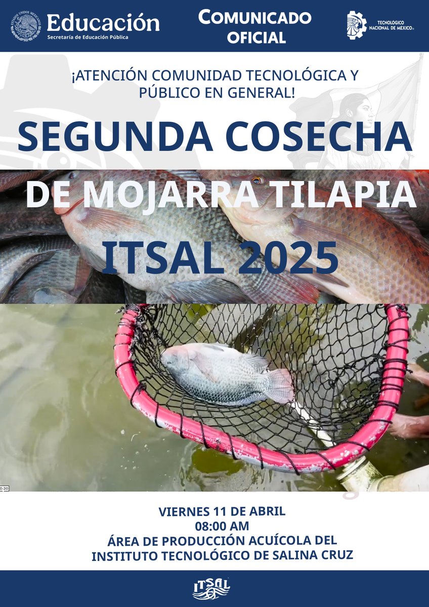 ¡ATENCIÓN COMUNIDAD TECNOLÓGICA Y PÚBLICO EN GENERAL!
SEGUNDA COSECHA DE MOJARRA TILAPIA – ITSAL 2025
Viernes 11 de abril de 2025, a las 08:00 am, en el área de producción acuícola del Instituto Tecnológico de Salina Cruz.
¡No faltes!