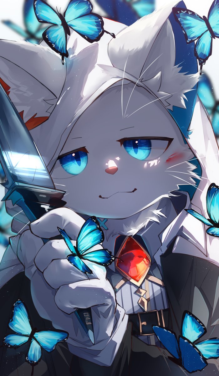 旅ねこ様 旅猫シロ♂ (@TabiNekoShiro) / X