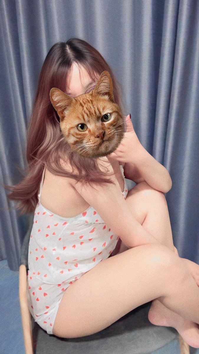 PPChubbycheeks's tweet photo. Meowwwww😽 https://t.co/OZffmH98yI