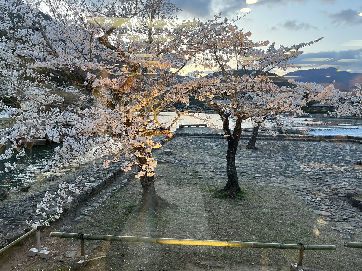 toraktar's tweet photo. 嵐山
渡月亭から https://t.co/Q4ulFT6lFq
