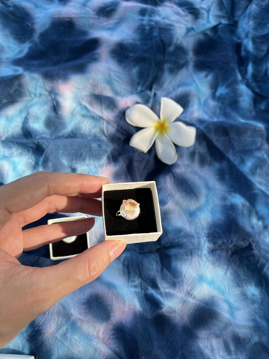 itsmesyne_'s tweet photo. 🪸🐚🫧🔮✨
#mesyne https://t.co/ihXDHXoVqP