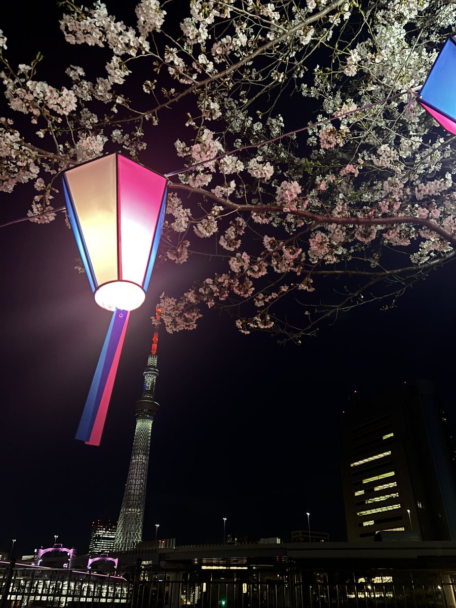su1004i's tweet photo. @j122204 単純なので何事もめちゃめちゃ楽しめます🙌
桜とスカイツリーの写真おすそわけ https://t.co/VZfWYz7HDB