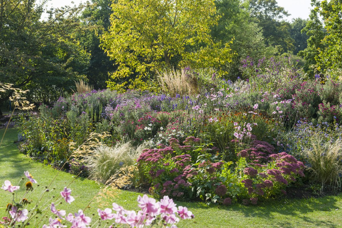 CUBotanicGarden's tweet photo. Do you know what these gorgeous images have in common? https://t.co/H0wXXa7Ivz