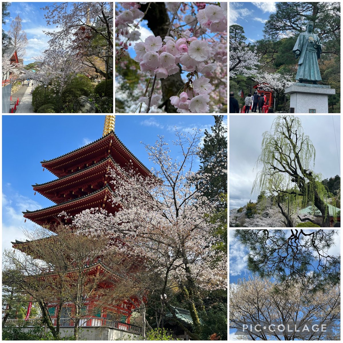 今日は京王線にある高幡不動尊にお花見に行ってきました。
桜が満開で眺望も素晴らしく良い気分転換になりました。
お花見や参拝客、お宮参りのご家族で賑わっていました❣️