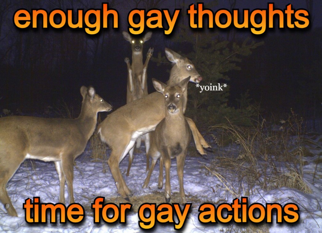 transgendeer (@ciervatonta) on Twitter photo 
