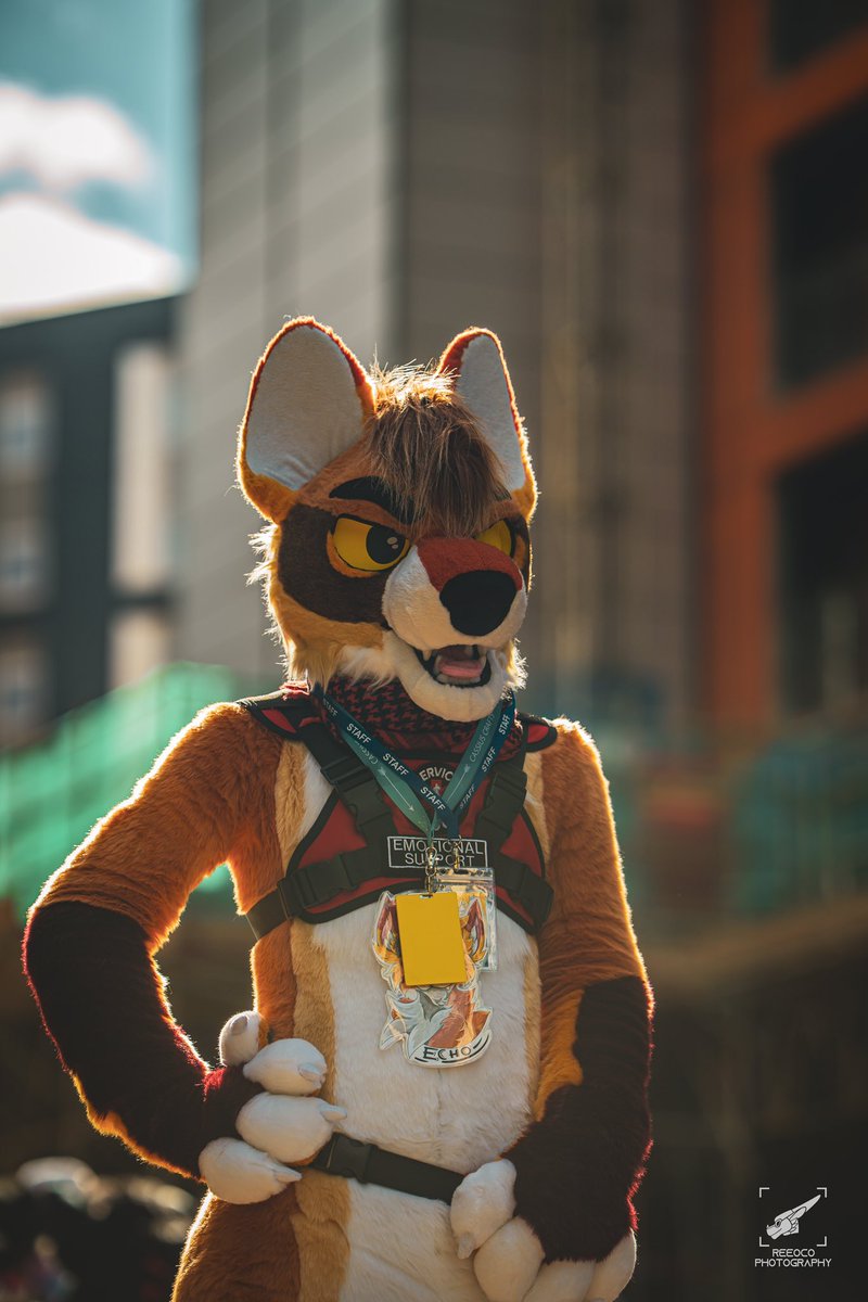 Aresβ‘οΈπ CFz & EF (@secret_wolfe) on Twitter photo Pet the service wolf? π₯Ί #FursuitsFriday
πΈ<a href="/R330C0/">NeonJellyBean</a>
βοΈ<a href="/SpicyServiceDog/">Spicy Service Dog πβπ¦Ί</a>
πͺ‘<a href="/CassiusRed/">Cassius Crafts</a> Pet the service wolf? π₯Ί #FursuitsFriday
πΈ<a href="/R330C0/">NeonJellyBean</a>
βοΈ<a href="/SpicyServiceDog/">Spicy Service Dog πβπ¦Ί</a>
πͺ‘<a href="/CassiusRed/">Cassius Crafts</a>