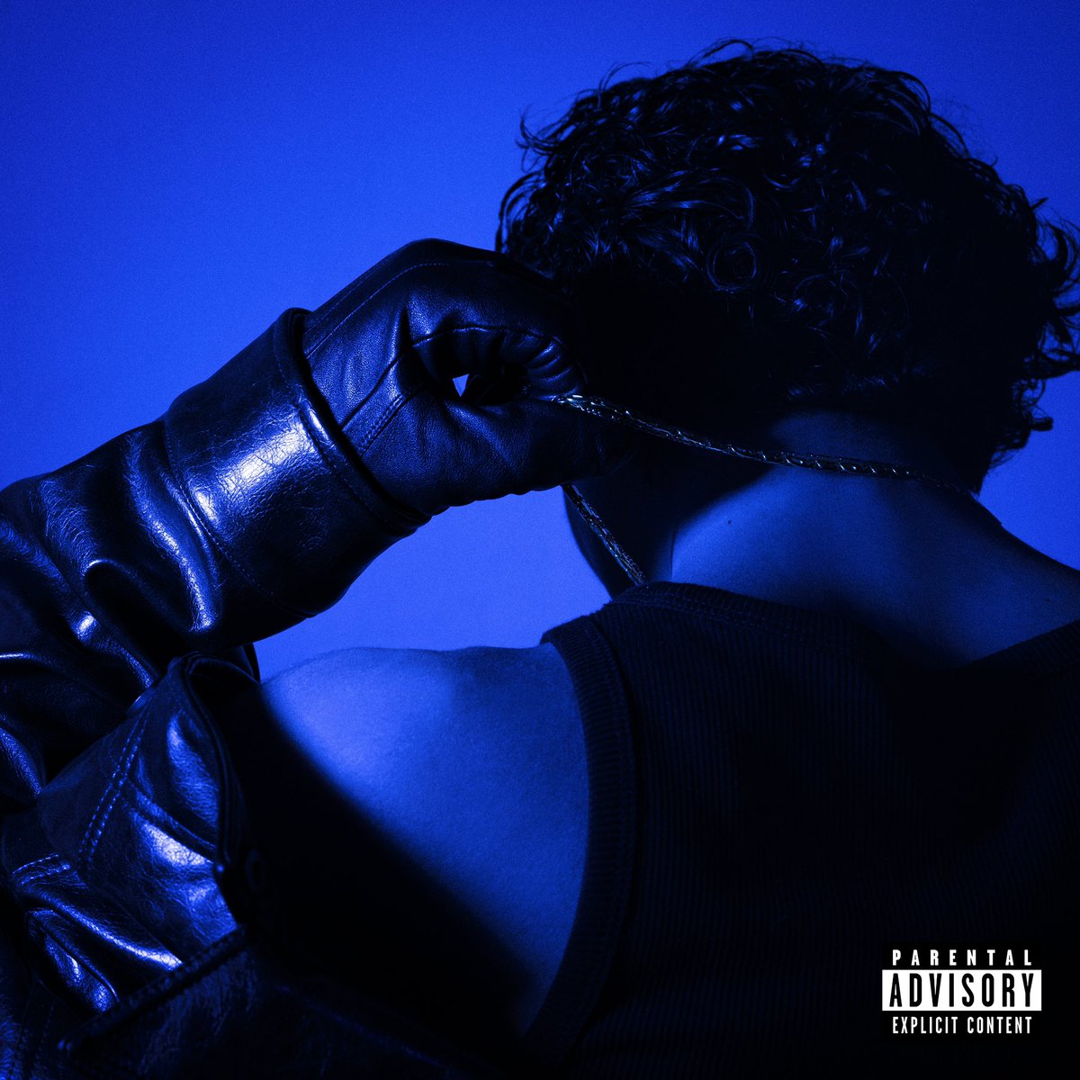 bijmaker's tweet image. BRUTAL DISPONIBLE PARTOUT

Track 1, 2, 3, 5, 6, 7, 8, 9 Prod BIJ

On a entièrement composé et réalisé ce projet en famille avec @kamilosmnv DAKEEZ @BodieCaprio @Alex_Afios @amoursacrifice

Fier de nous.