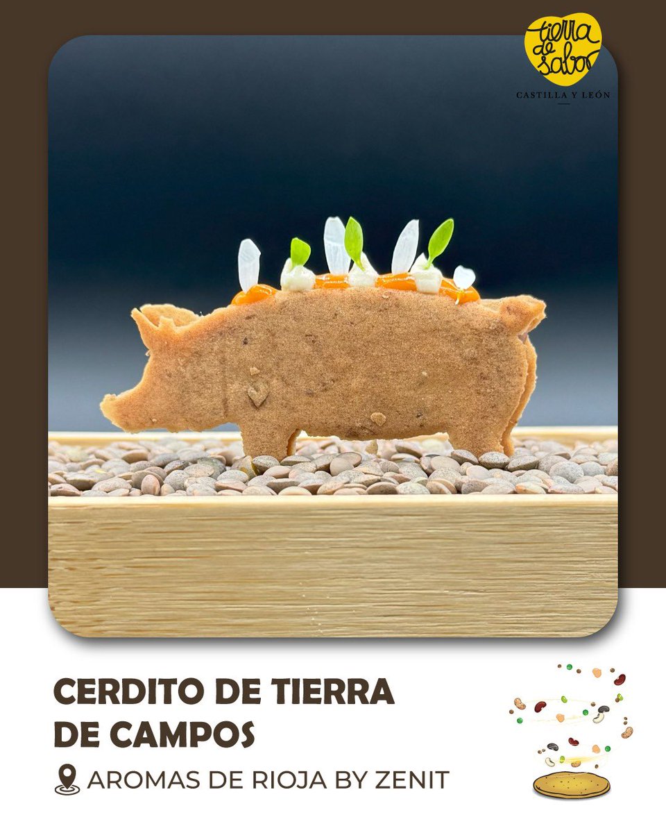 «Cerdito de Tierra de Campos» de #JoseIgnacioGordo 
Una tuile crujiente en forma de cerdito rellena de un guiso meloso de <a href="/LentejaTiCampos/">Lenteja T. de Campos</a> con morro y manitas. Acompañada con una salsa untuosa y un gazpacho de piparras, equilibrando intensidad y frescura. #desTAPAlasLEGUMBRES