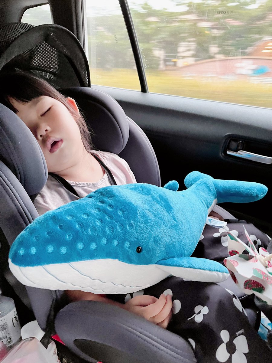 兒童節海生館一日遊～
其實是媽媽想買海生館獨家限定的鯨魚娃娃～
#大翅鯨趴姿玩偶🥰