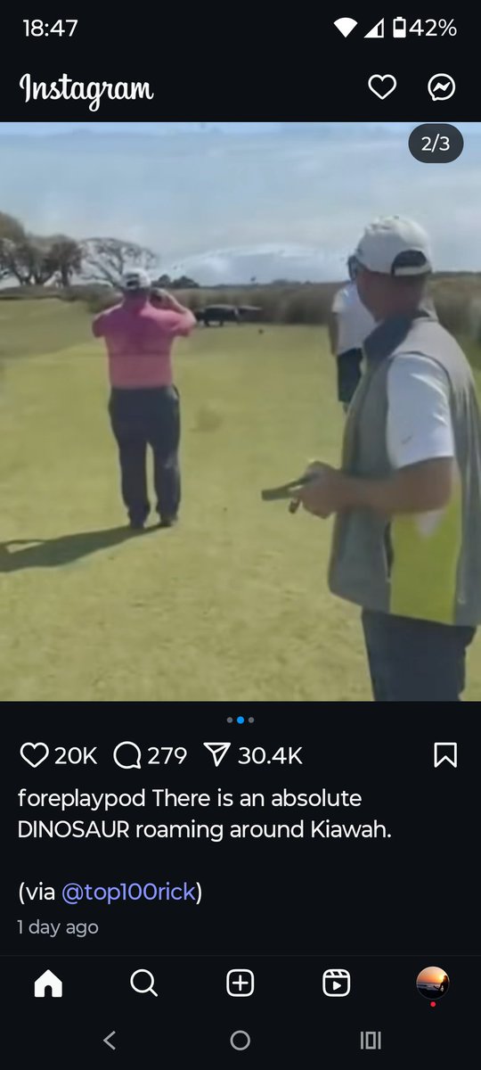 jp_clt's tweet photo. Friends video/photo goes viral of huge ator at Kiawah last week @WFANmornings @GioWFAN @shootermcgavin @AdamSandler @AdamSchefter @PGATOUR @kiawahresort https://t.co/5Dn9yUoeyK