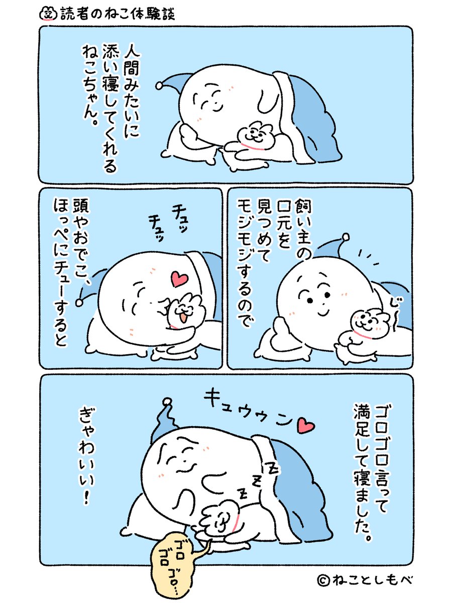 ねことしもべ (@nekotoshimobe) on Twitter photo 
