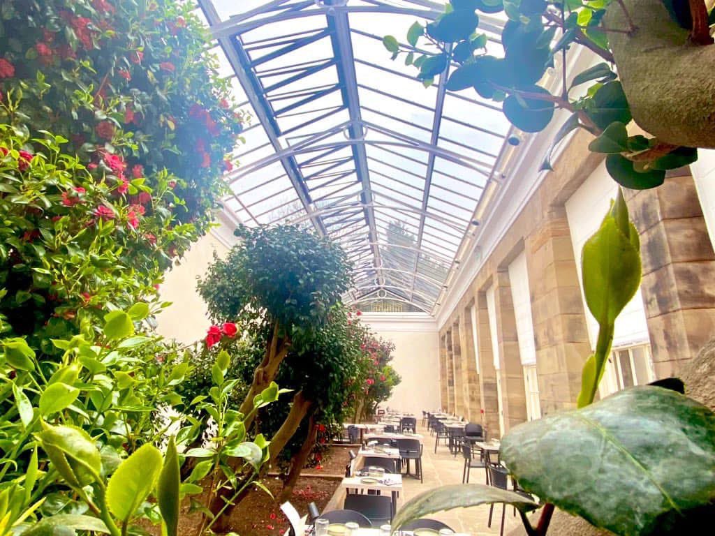 Lizzie Glithero-West tweet media