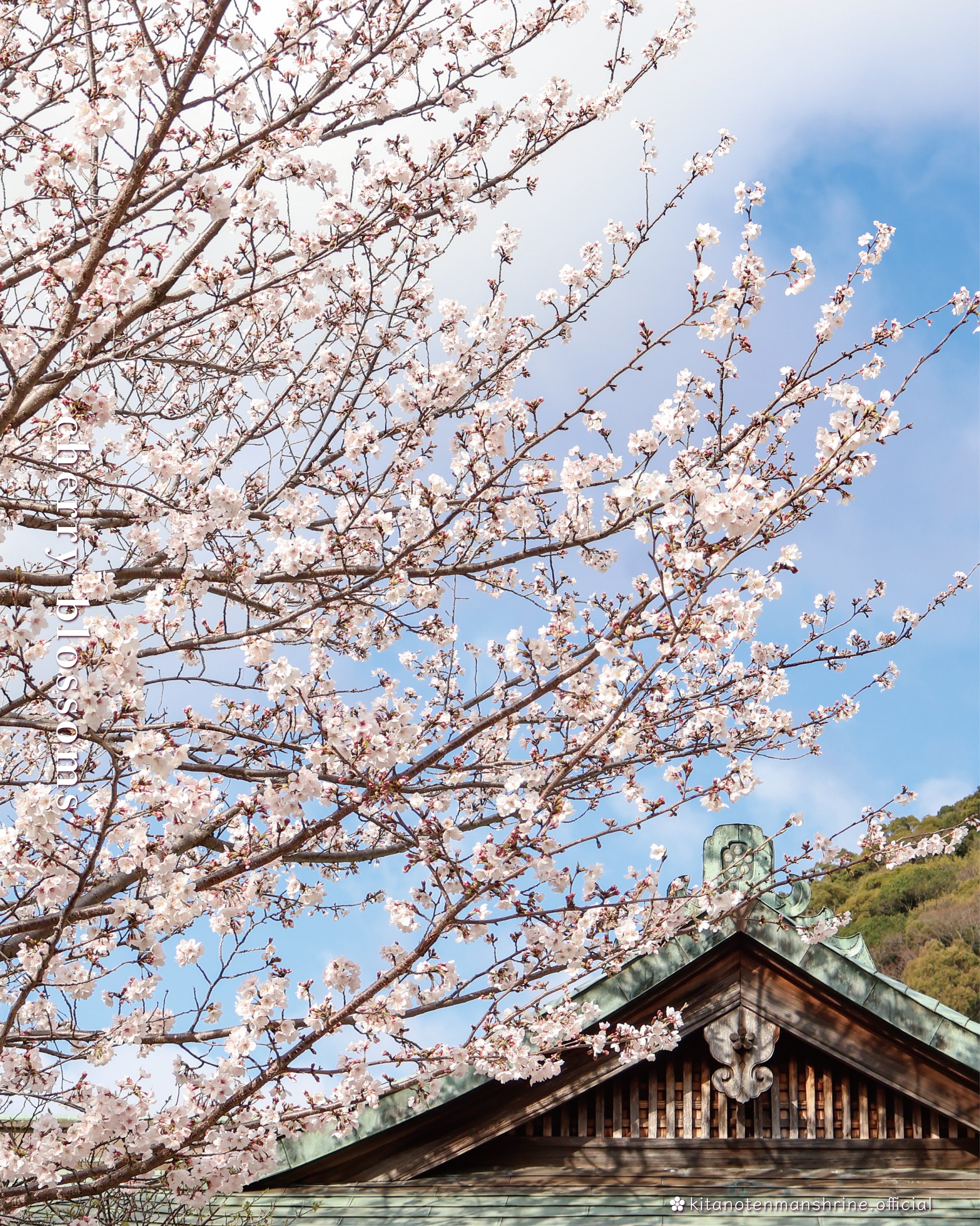 天空の社 北野天満神社 on X: 天空の社 北野天満神社 on X: