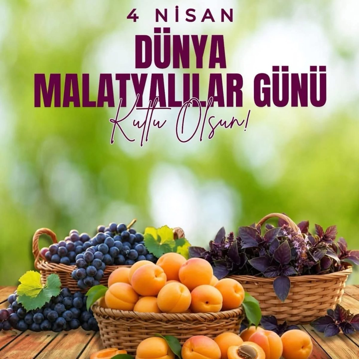 Önal İnaltekin (@onalinaltekin) on Twitter photo 