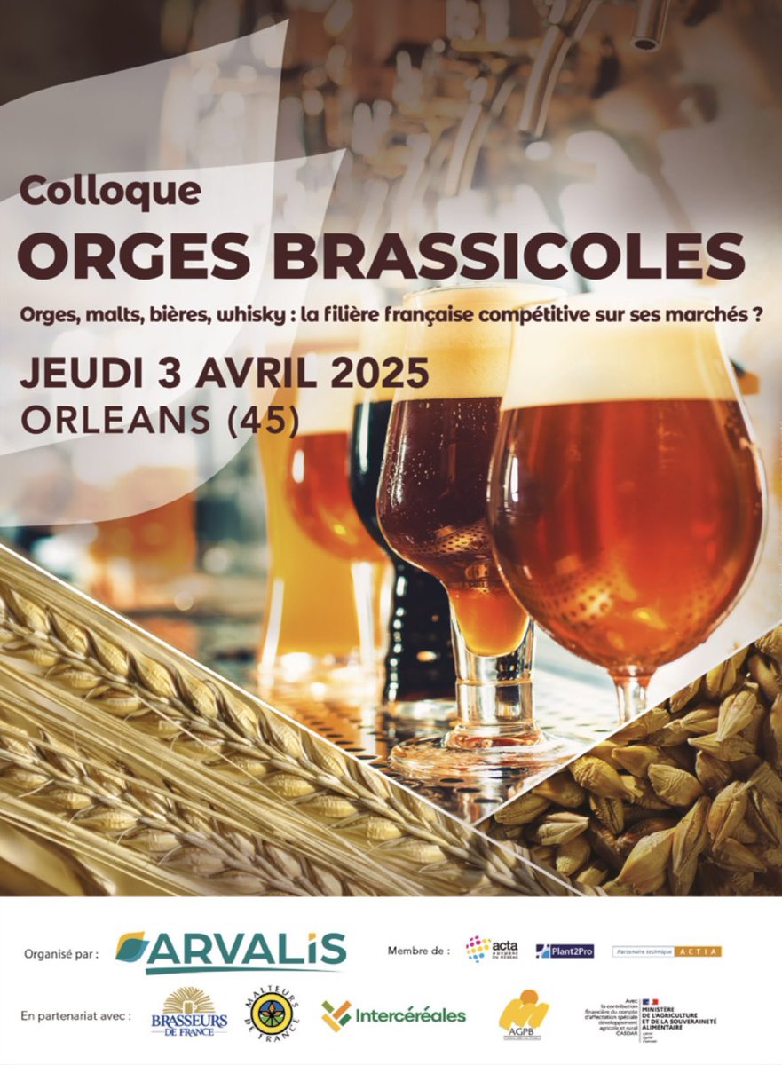 #ColloqueOrgesBrassicoles
La France 🇫🇷 est le 1er exportateur de malt ! Bravo !
Pour que tout aille encore mieux, il faudrait régler un paradoxe :
👉 Merci de donner de l’eau 🌧️ à nos amis producteurs
👉 Merci de nous donner du soleil ☀️ pour dynamiser la consommation de bière 🍻