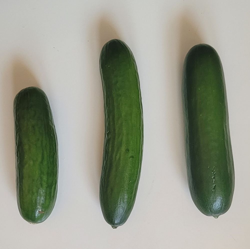 saschadehe2's tweet photo. Robby (18) macht den Anfang:
Average-Dick-Friday
Zeig deinen 🍆 in den Kommentaren.
Er soll nicht länger sein!
#averagedick #averagecock https://t.co/BxiTn5Jv4p