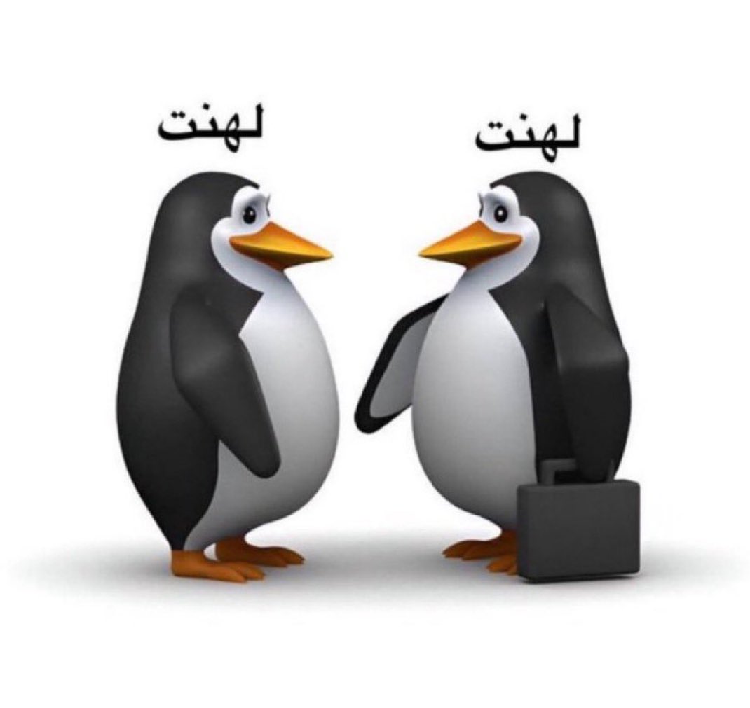 متعب tweet media